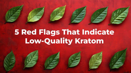 5 Red Flags That Indicate Low-Quality Kratom