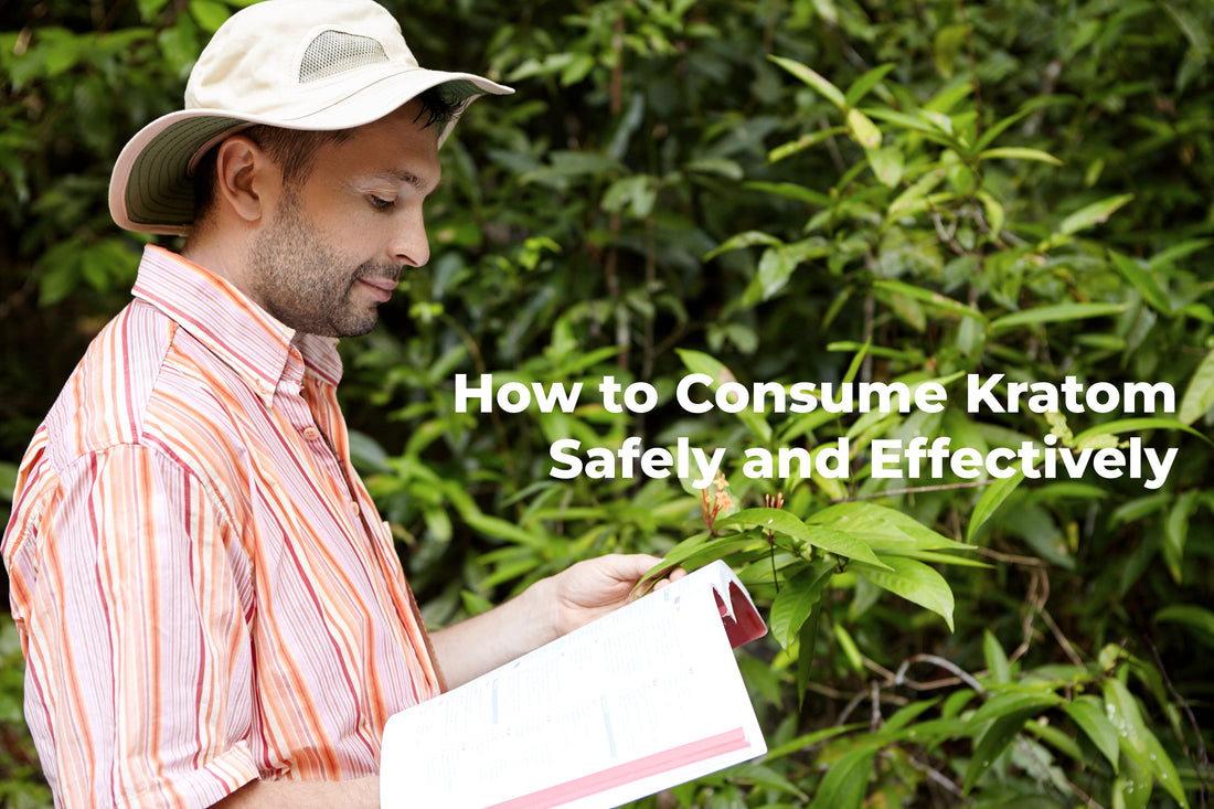 How to Consume Kratom Safely and Effectively