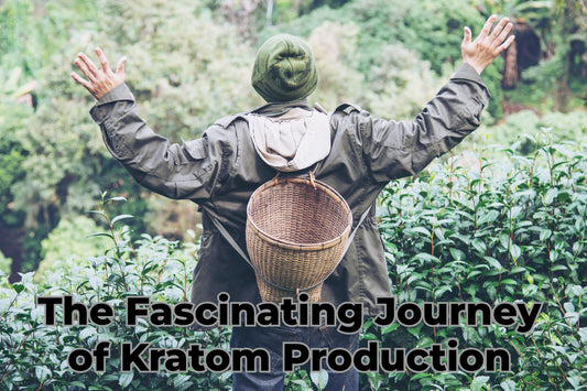 The Fascinating Journey of Kratom Production